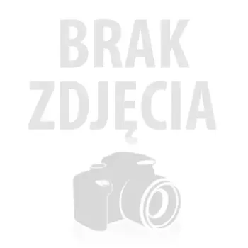 Kamera IP Reolink Go Series G440 4K 8MP 4G LTE USB-C bateryjna-1258993