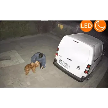 Kamera Zewnętrzna Obrotowa GSM na Kartę SIM Orllo Z7 PRO + Panel fotowoltaiczny SM6030 Pro-1256370