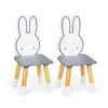 Stół stolik + 2 krzesła meble dla dzieci zestaw ECOTOYS-1268672