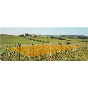 Kamera IP Imou AOV PT KIT 2.4GHz Wi-Fi i 4G 5MPx z panelem solarnym z kartą pamięci 64GB-1263321