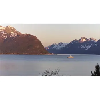 Kamera IP Reolink P320 5MP POE biała-1260063