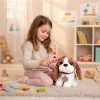 Pluszowy piesek w torebce beagle maskotka dla dziecka + szczotka do pielęgnacji-1277011