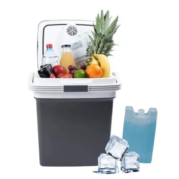 Lodówka turystyczna przenośna samochodowa 29L 220-240V DC12V funkcja grzania wkład gratis grafitowa