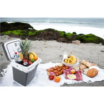 Lodówka turystyczna przenośna samochodowa 29L 220-240V DC12V funkcja grzania wkład gratis grafitowa-1274327