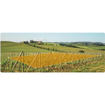 Kamera IP Imou AOV PT KIT 2.4GHz Wi-Fi i 4G 5MPx z panelem solarnym-1361669