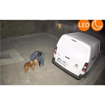 Kamera Zewnętrzna Obrotowa GSM na Kartę SIM Orllo Z7 PRO + Panel fotowoltaiczny SM6030 Pro-1360031