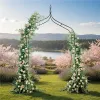 Pergola ogrodowa LUARO metalowa łuk z grotami na róże kwiaty pnącza 265 cm-1378537