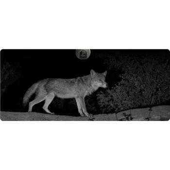 Kamera IP Ezviz EB8 4G 4K Kit 8MP z panelem słonecznym 8W 4G Wi-Fi-1429999