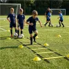 Drabinka koordynacyjna do ćwiczeń 6 m zestaw piłkarski pachołki torba MOVEPRO-1440082