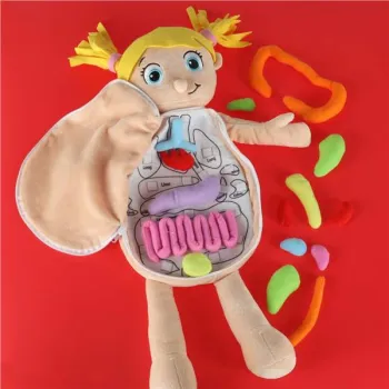 Lalka maskotka nauka anatomii dziewczynka-929406