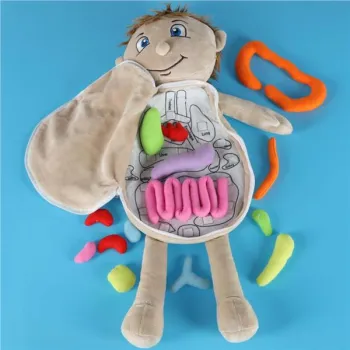 Lalka maskotka nauka anatomii chłopiec-929419