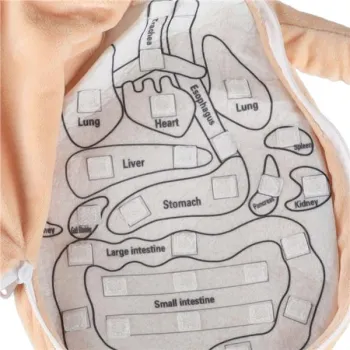 Lalka maskotka nauka anatomii dziewczynka-929404