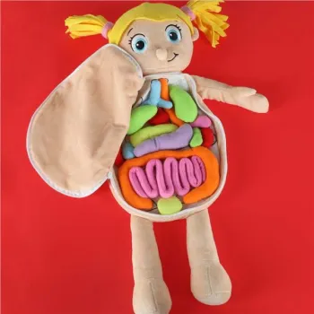 Lalka maskotka nauka anatomii dziewczynka-929407