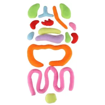 Lalka maskotka nauka anatomii dziewczynka-929408