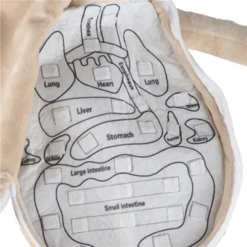 Lalka maskotka nauka anatomii chłopiec-929417